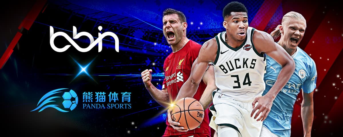 都为公牛队